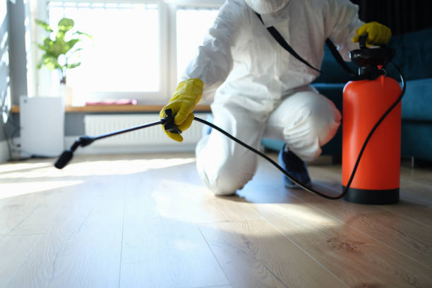Reliable Sewage Cleanup contractor in Deweese, NE by Trauma Clean Pros